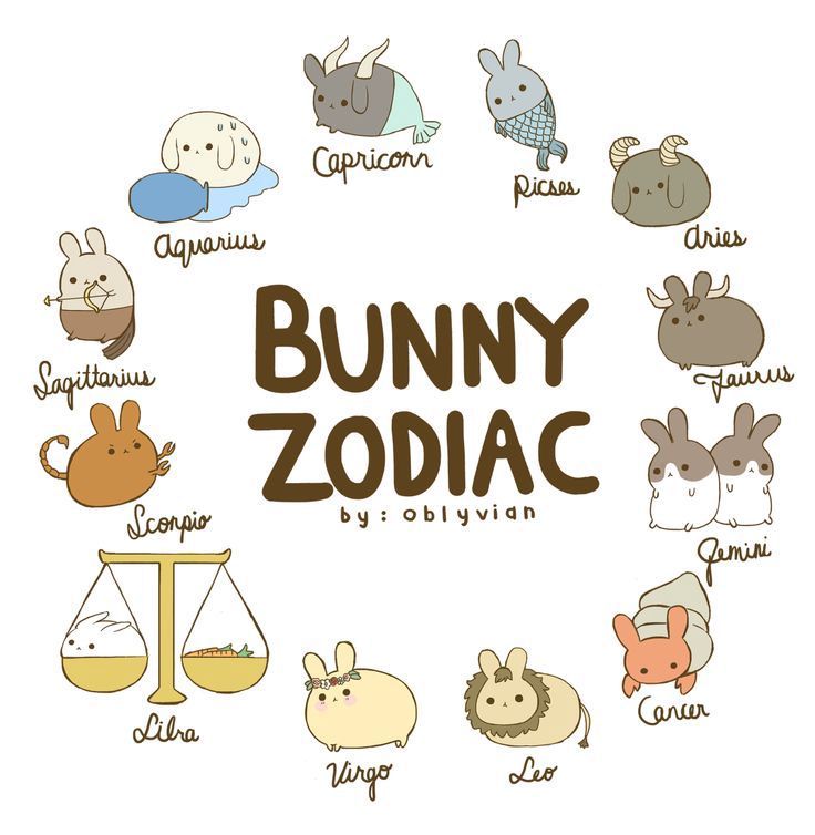 the bunny zodiac sign is surrounded by various cartoon animals and their names in a circle