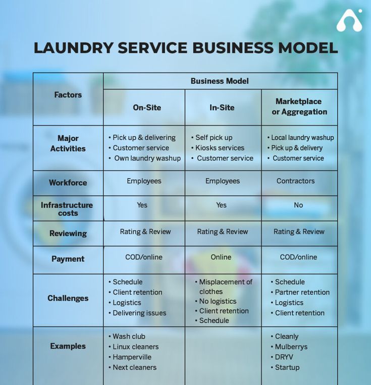 the business model for laundry service