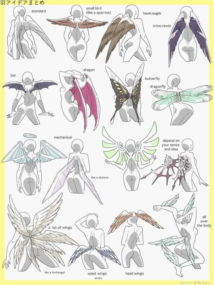 an image of different types of wings and body parts in anime style art print on white paper