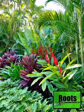 a lush green garden with red flowers and plants in the foreground, surrounded by palm trees