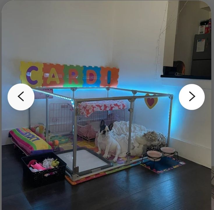 there is a dog in a cage on the floor next to some toys and other items