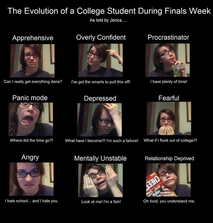 the evolution of a college student during final week