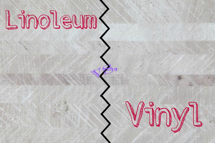 two pieces of paper with the words linoleum and vinny written on them