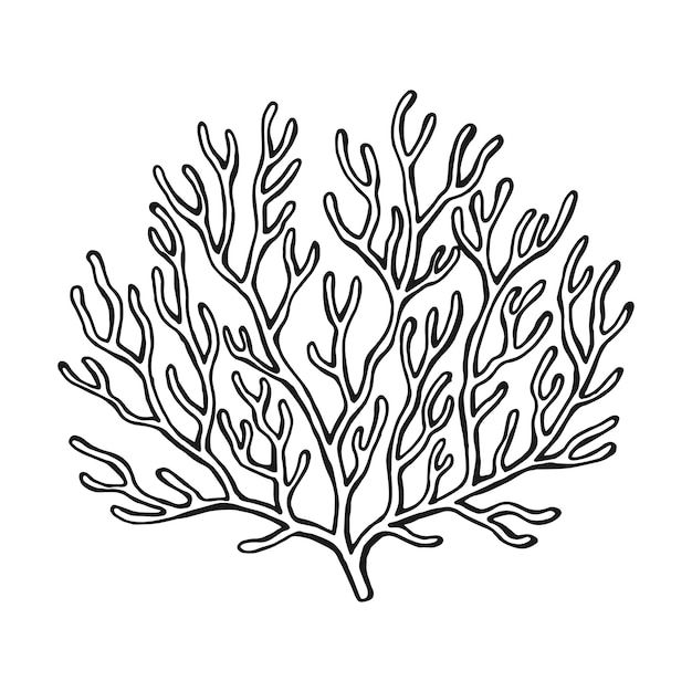 a black and white drawing of a coral