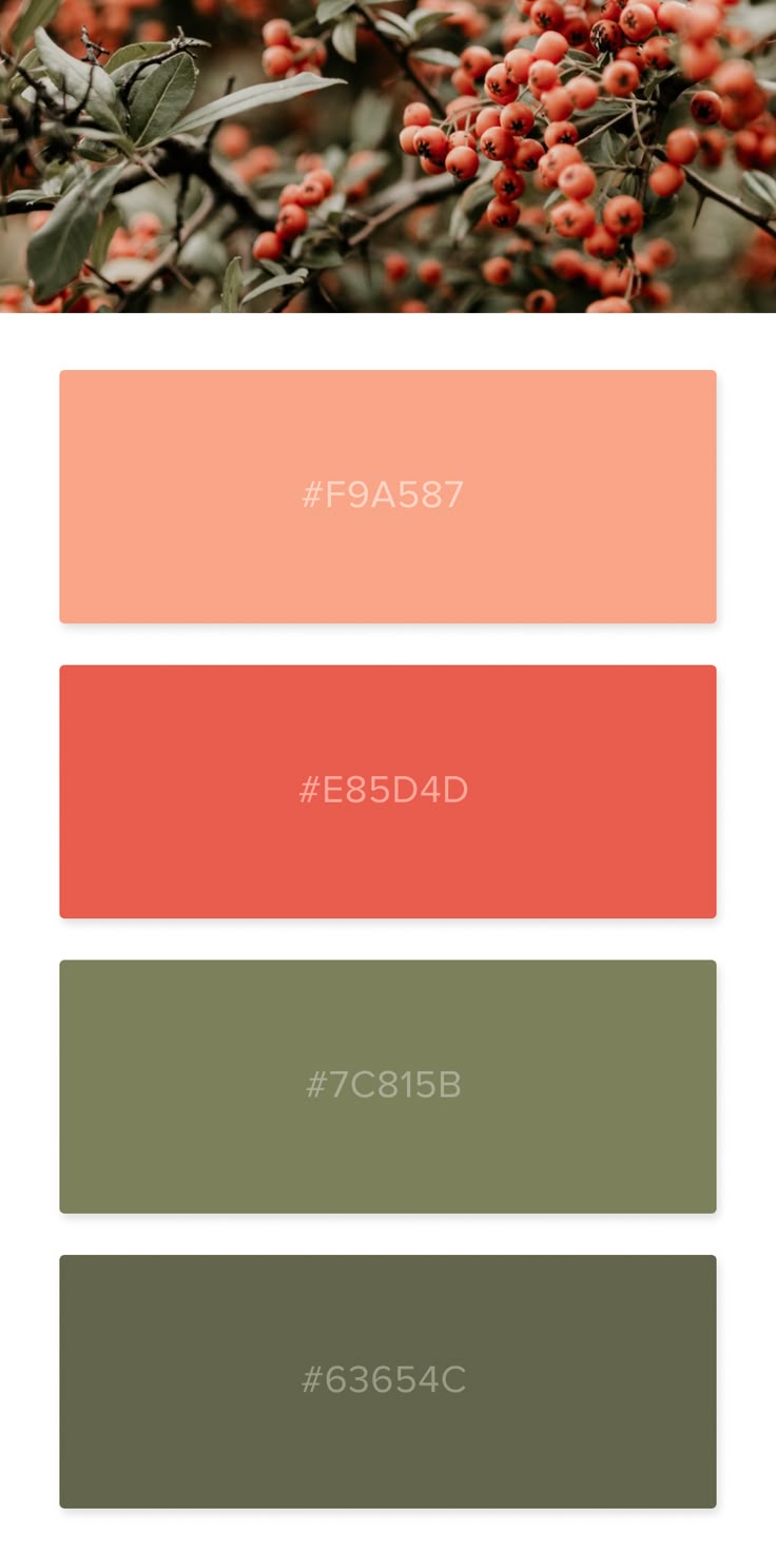 the color palette for this website is peach, red and green with berries on it