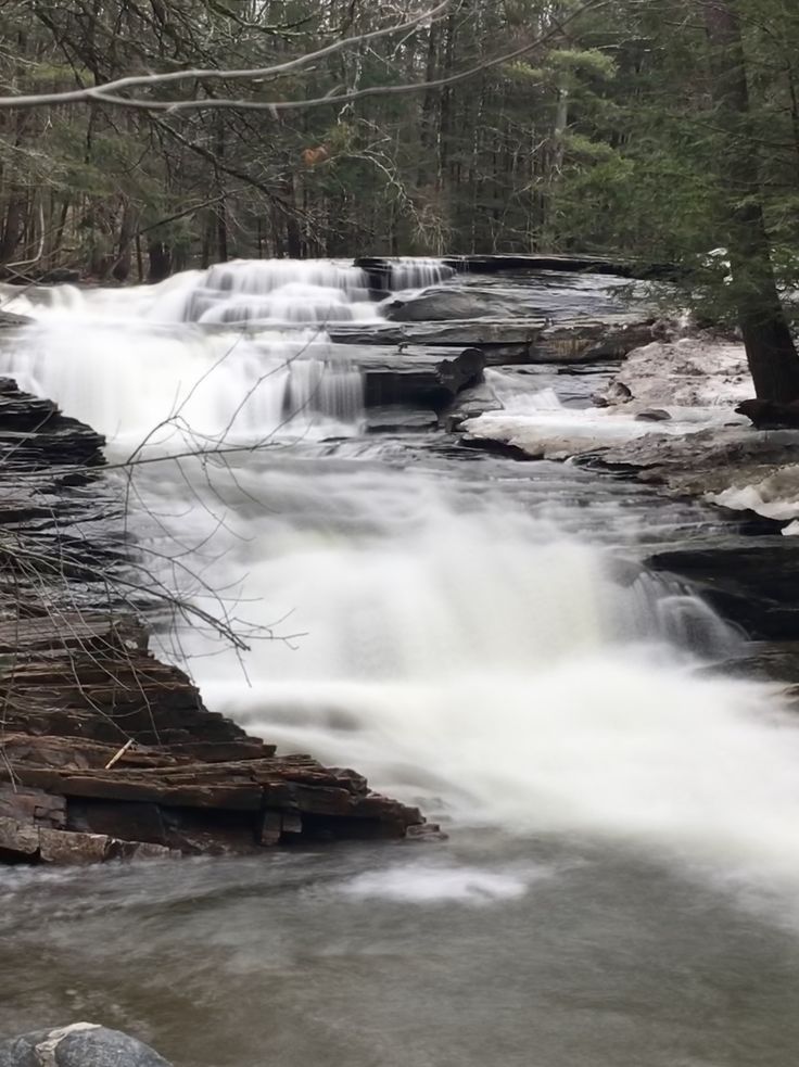 a small waterfall in the middle of a forest with rocks and trees on either side