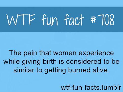 MORE OF WTF-FUN-FACTS are coming HERE funny and weird facts ONLY Facts About Women, Random Facts, About Women, True Facts, Psychology Facts, The More You Know, E Card, Fun Fact, Things To Know