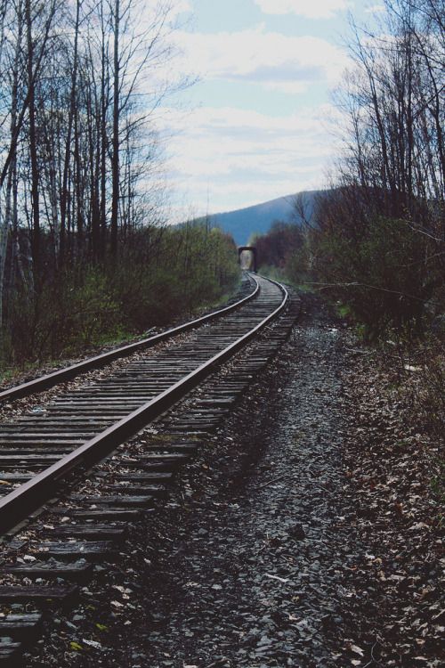 an old train track running through the woods