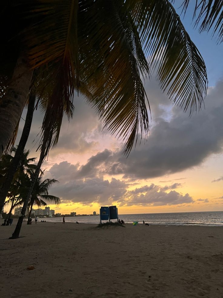 the sun is setting on the beach with palm trees