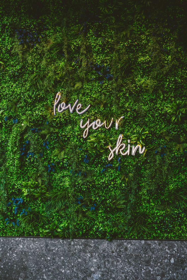 the word love you skin is written in gold foil on a green wall covered with moss