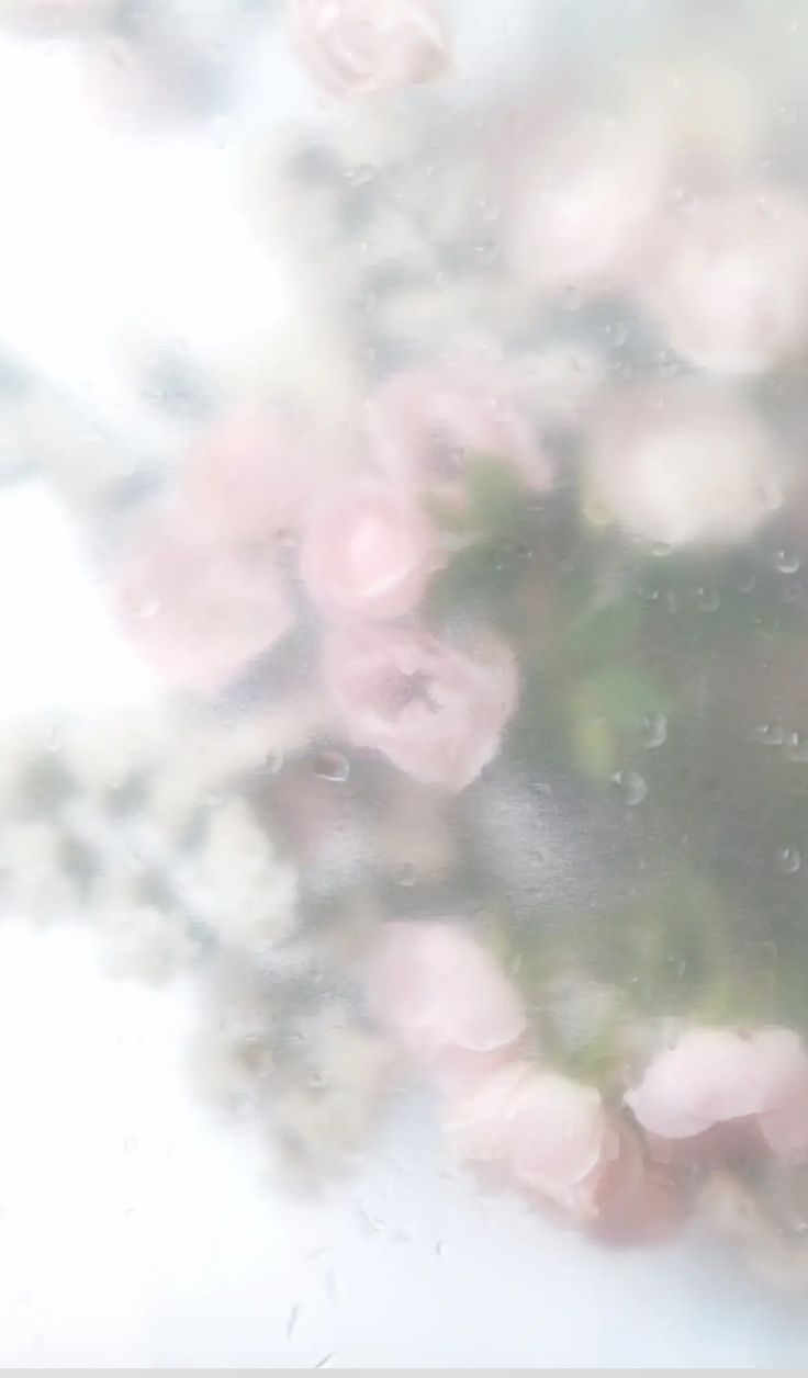 pink flowers are seen through the raindrops on a window