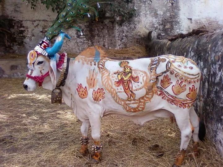 a decorated cow standing next to a stone wall