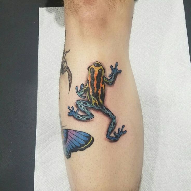 a colorful frog tattoo on the leg