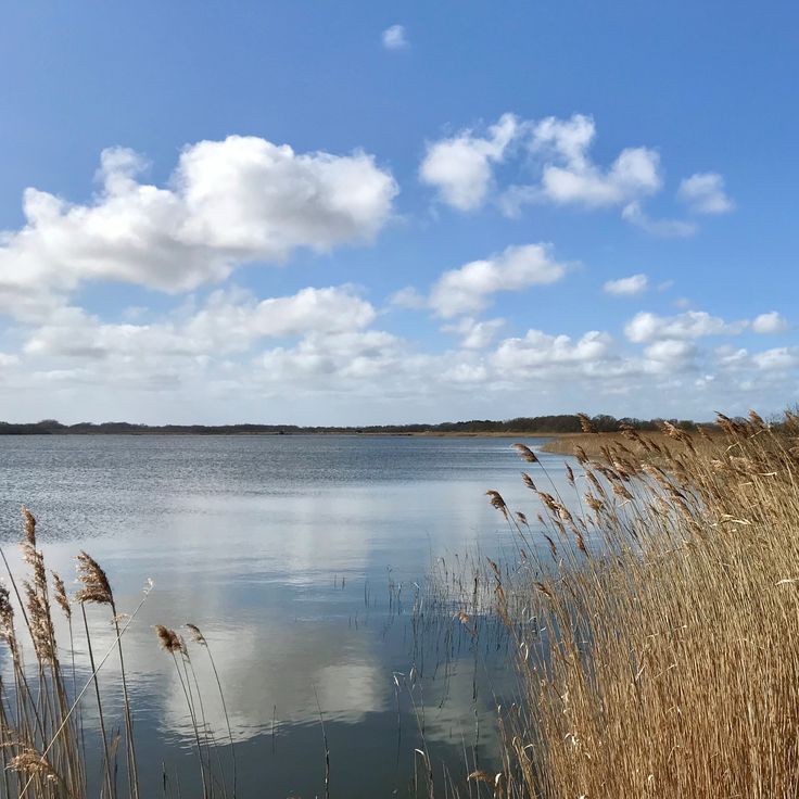 the water is still calm and there are some clouds in the sky above it,