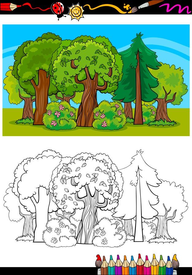 the coloring book with trees and flowers for children to learn how to draw, paint and color