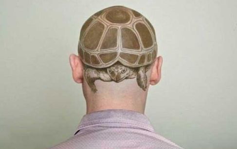 a man with a turtle on top of his head in the shape of a turtle