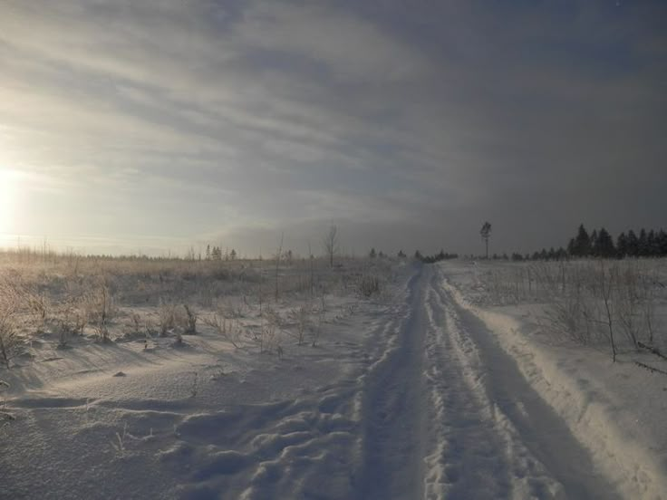 the sun shines brightly in the distance over a snow covered field with trees and bushes