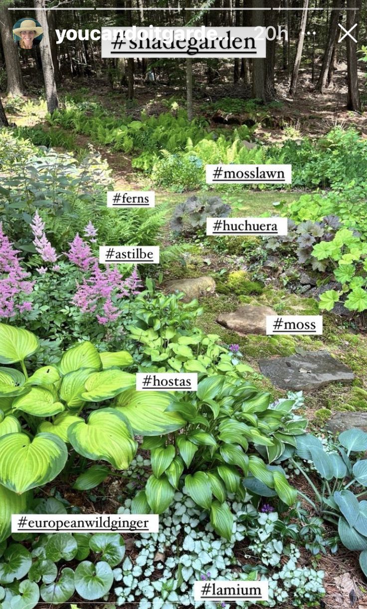 a garden filled with lots of green plants and flowers in the middle of it's own