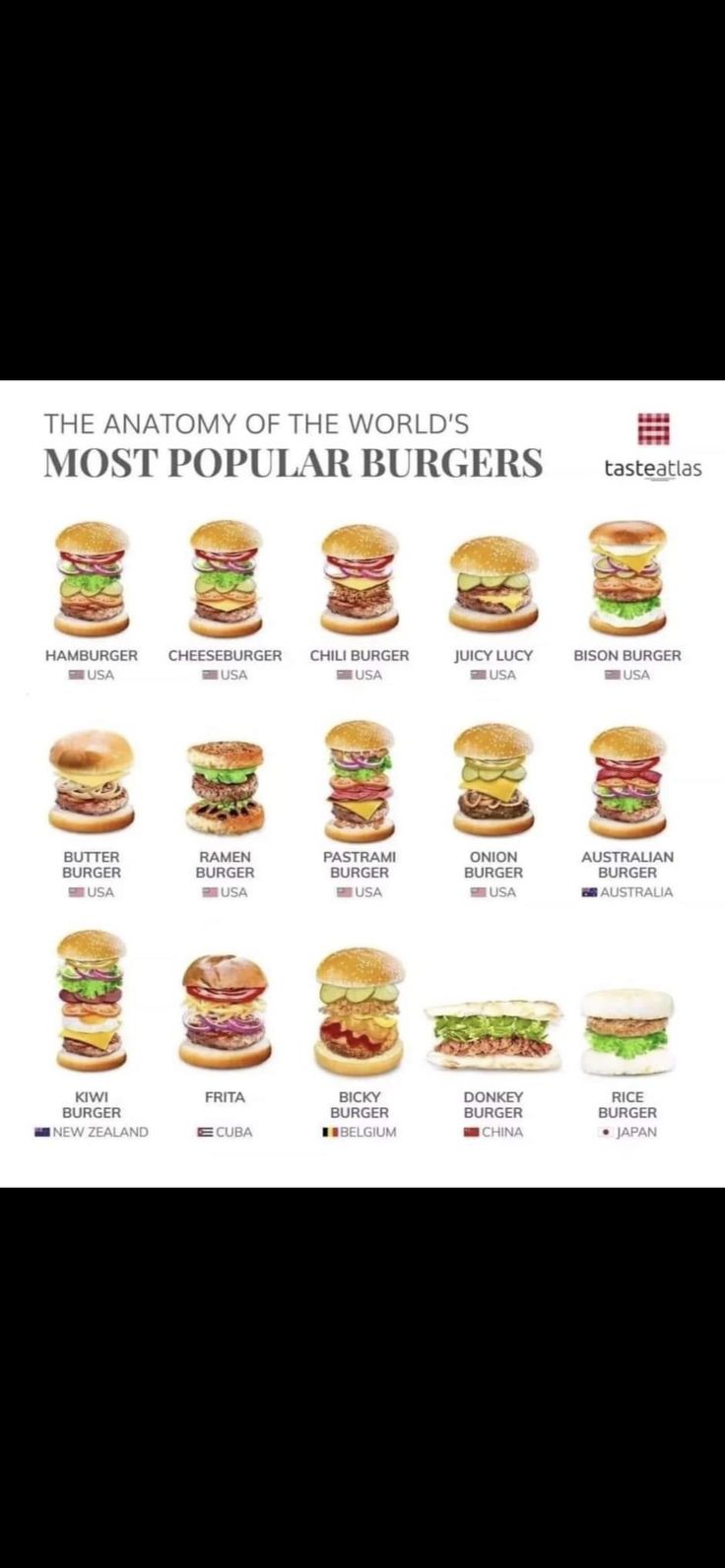 the anatomy of the world's most popular burgers