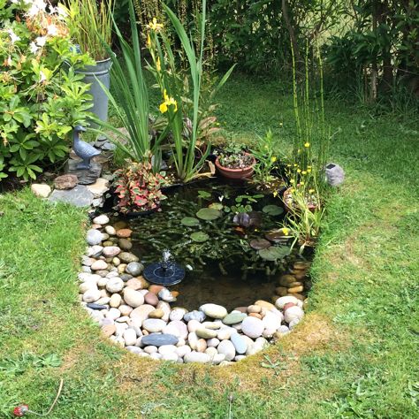 a small pond in the middle of some grass