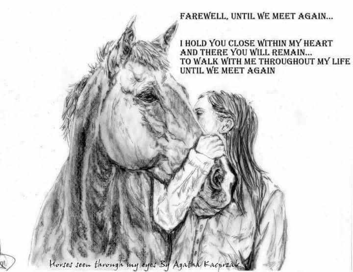 a drawing of a woman and a horse with the words farewell, until we meet again