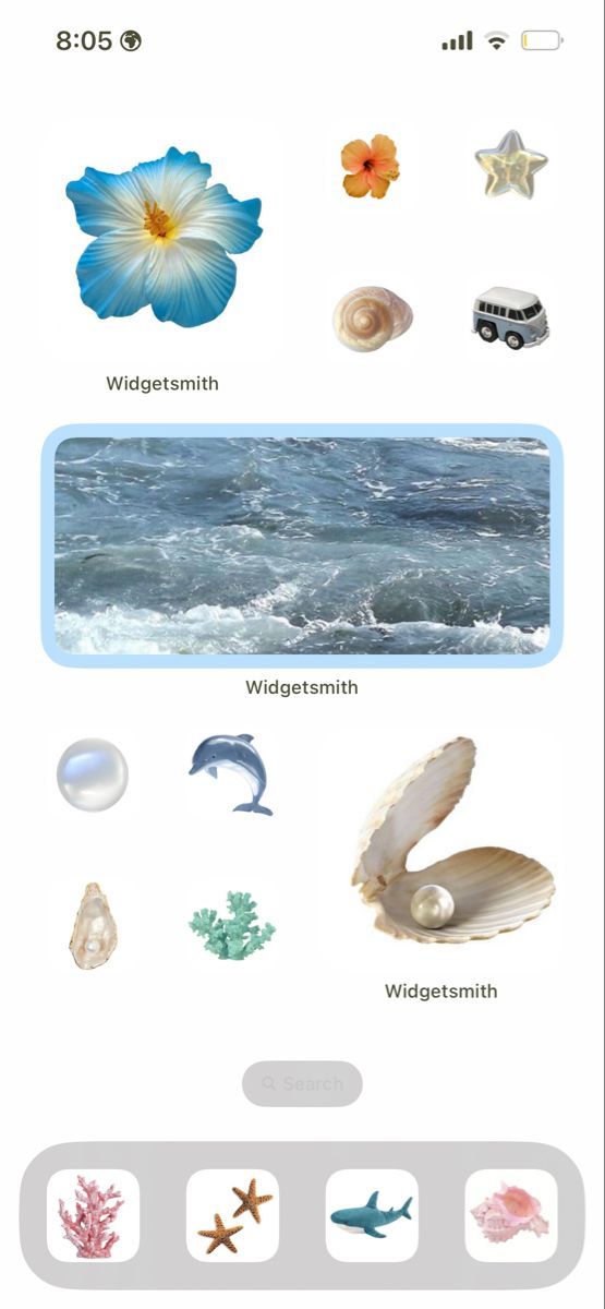 the ocean is full of different types of animals and plants, including an animal's shell