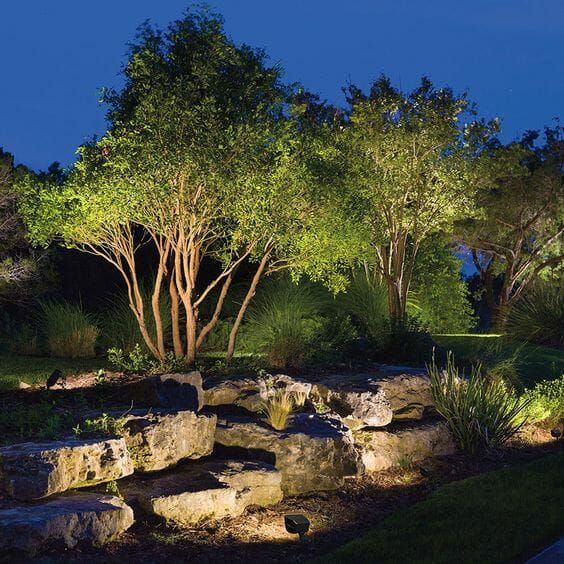 an outdoor area with rocks and trees lit up at night