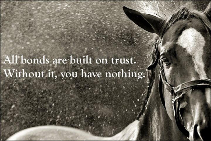 a black and white photo of a horse spraying water on it's face with its bridle