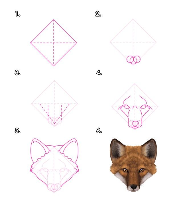 how to draw an origami fox step by step