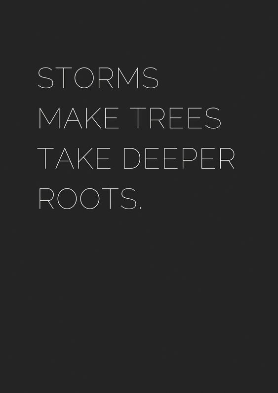 the words storm's make trees take deeper roots