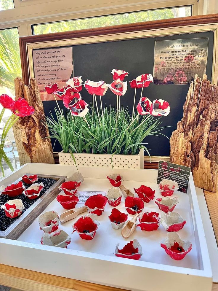 red and white flowers are on display in front of a blackboard with pictures behind it