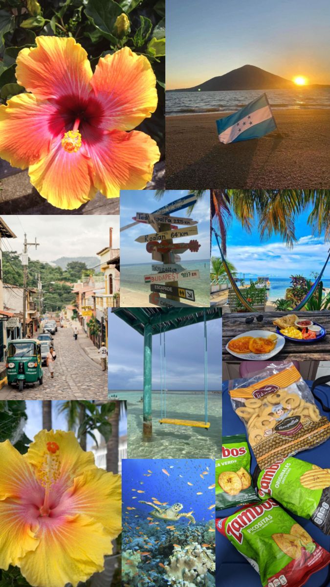 a collage of pictures with flowers and other things to see in the photo below