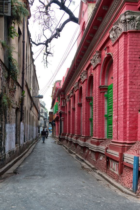 an empty street with red brick buildings and green shutters on the windows, in front of a tree