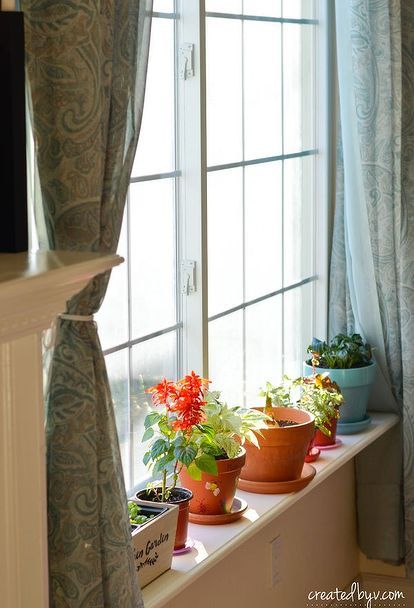 three potted plants sit on a window sill in front of the windowsill