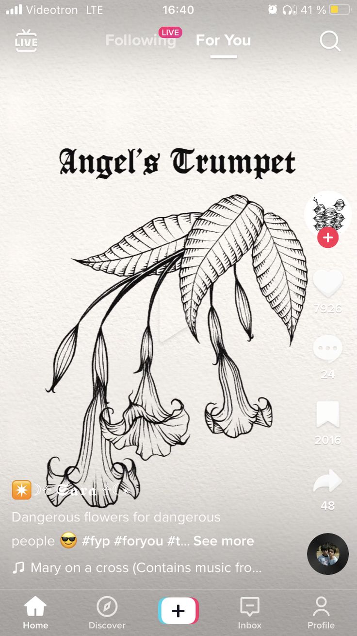 an iphone screen with the text angel's trumpet on it