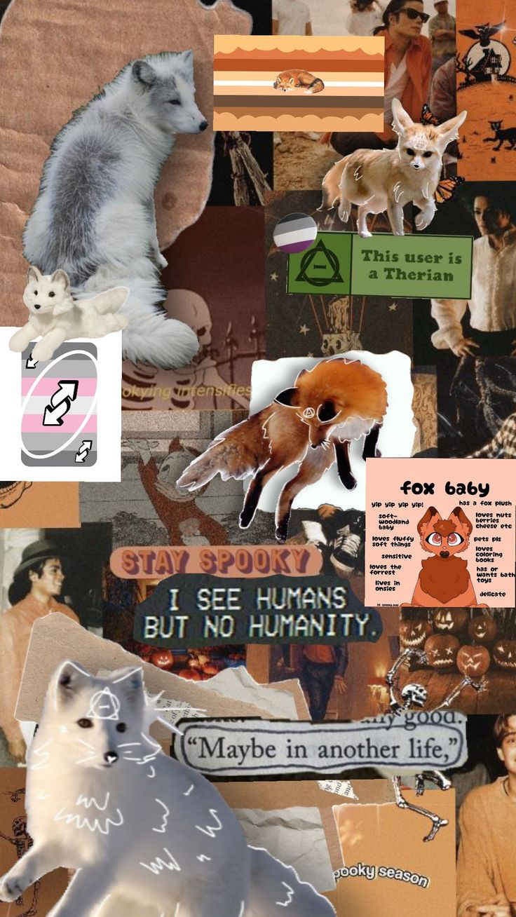 collage of various pictures with animals and words on them, including an image of a cat