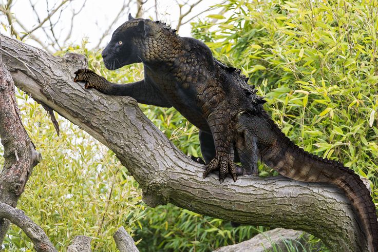 an iguana climbing on a tree branch in the wild with it's mouth open