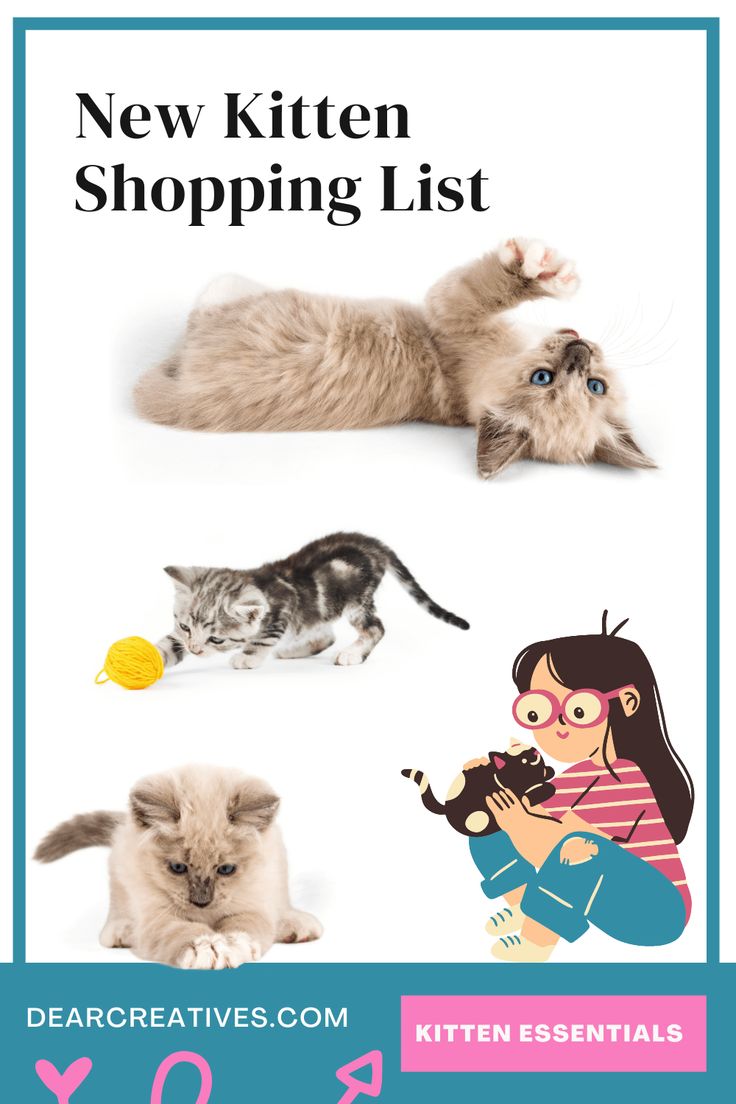 Are you getting a new kitten? Or adopting a new kitten? Grab this new kitten shopping list filled with kitten essentials for what to get for a new kitten. Plus, caring for a new kitten, kitten must-haves, new kitten tips. Bonus, it comes with a free printable shopping list to make sure your new kitty has everything it needs! #newkittenshoppinglist #kittenessentials #tipsforkittens #freeprintable #kittenmusthaves #catlovers Cat Shopping List, Kitten Supplies List, Kitten Necessities, Kitten Essentials, Kitten Checklist, Kitten Tips, Shopping List Printable, Kitten Supplies, List To Make