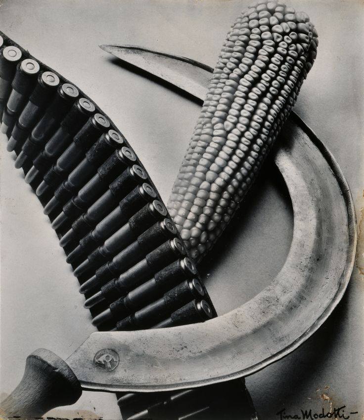 an old black and white photo with scissors and corn on the cob