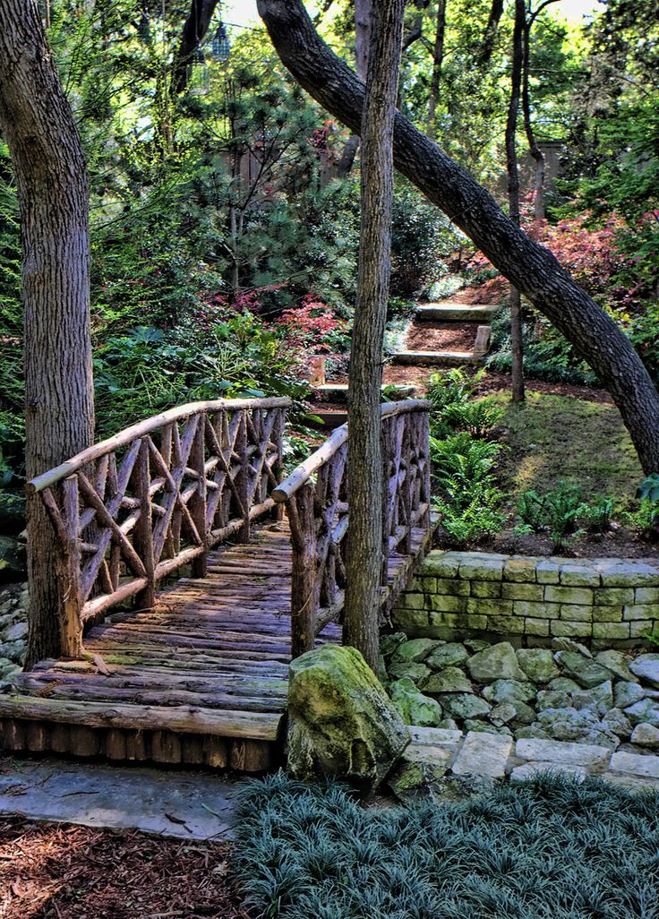 a wooden bridge in the middle of a forest