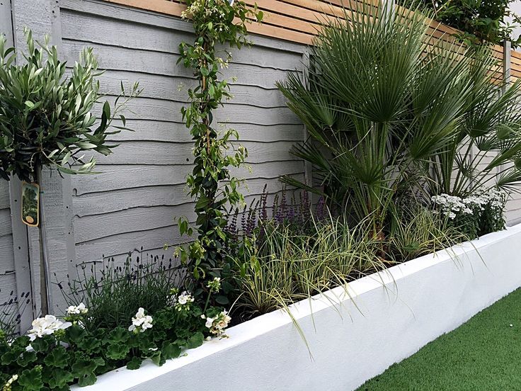 some plants are growing on the side of a wall next to a fence and grass