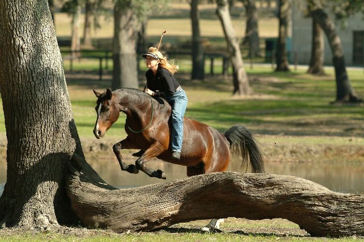 a woman riding on the back of a brown horse next to a fallen tree in a park