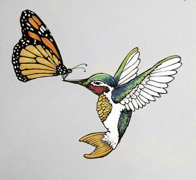 a drawing of a butterfly and a hummingbird in the air with wings spread out