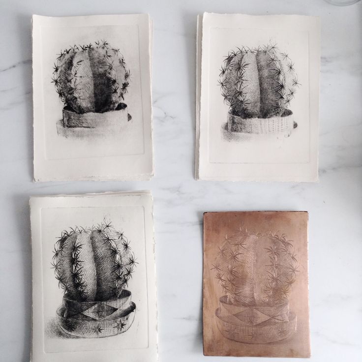 three different types of cactus prints on white marble counter top, each with a copper plate in the middle