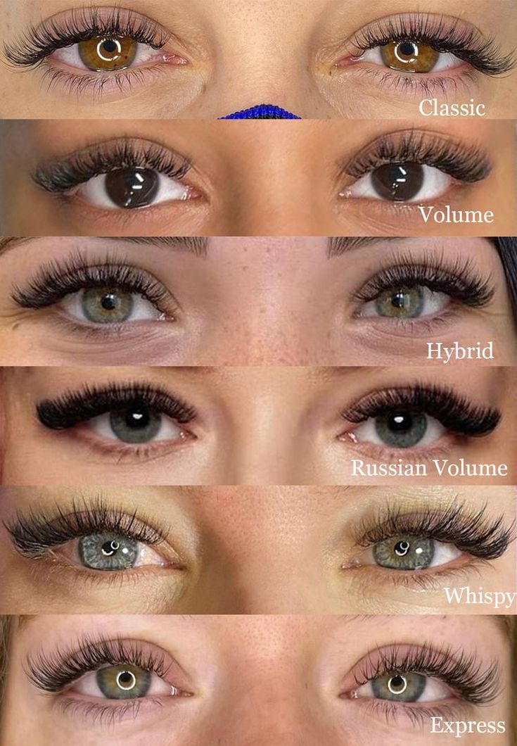 Types of Lash Extensions Eyelash Extensions Pictures, Eye Lash Style, Types Of Eyelash Extensions, Types Of Eyebrows, Lash Extentions, Lashes Fake Eyelashes, Eyelash Technician, Lash Extensions Styles, Eyelash Extensions Styles