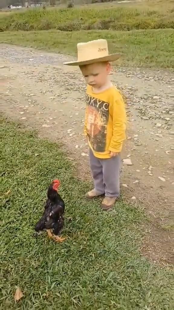 a little boy standing next to a chicken on top of a grass covered field in front of a dirt road