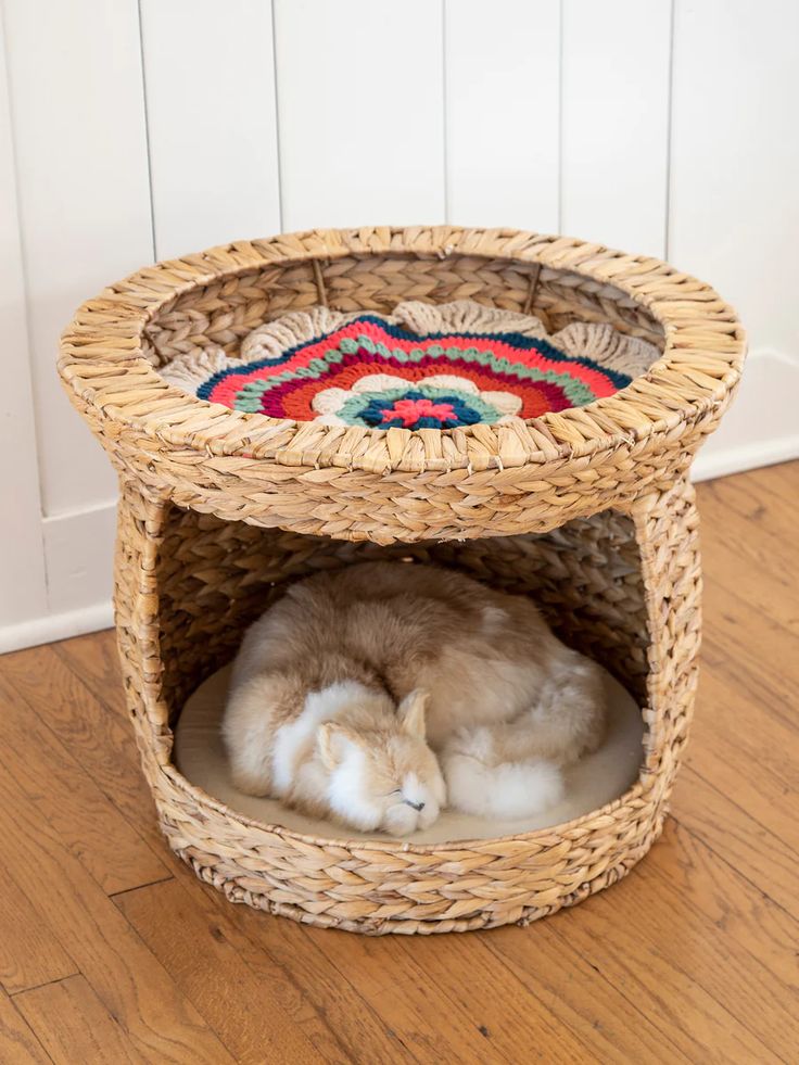 a cat curled up in a basket on the floor