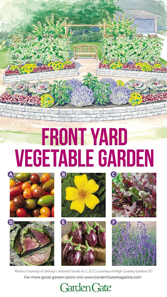 the front yard vegetable garden is shown with pictures of different plants and flowers in it