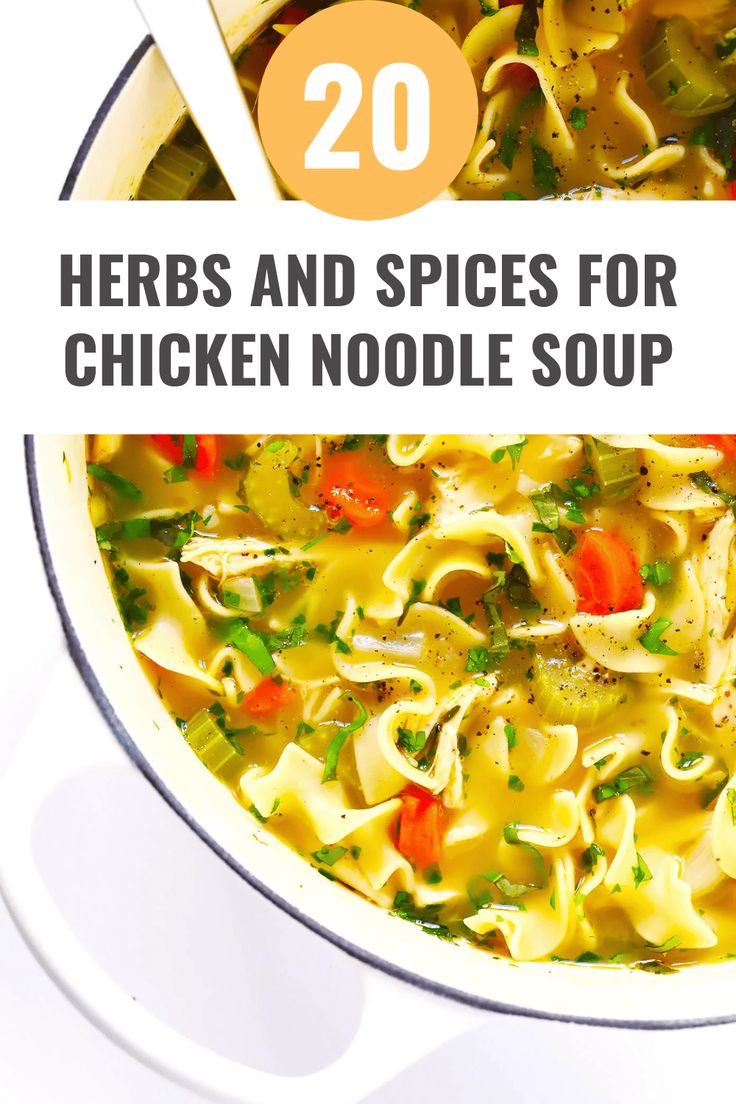 a bowl of chicken noodle soup with the title overlay reads 20 herbs and spices for chicken noodle soup