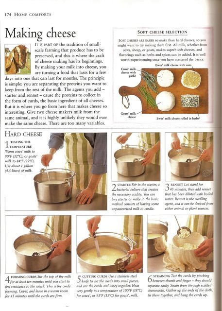 the instructions for making cheese are shown in this page, with pictures of how to make cheese